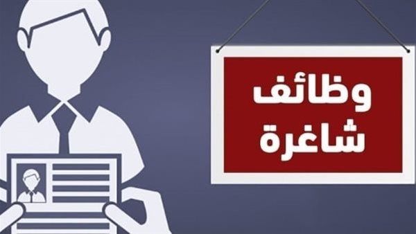 محافظة الجيزة توفر فرص عمل بمرتبات مجزية.. تعرف على الشروط