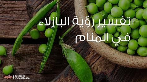 تفسير البازلاء في الحلم قطف بازلاء خضراء في المنام