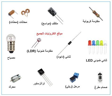 بسكويت اليانسون وحبة البركة