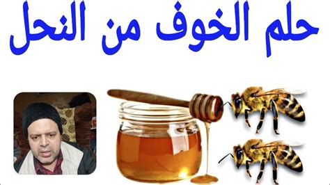 النحلة في المنام وتفسير رؤية النحل في الحلم بالتفصيل