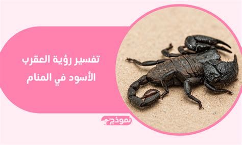 العقرب في الحلم تفسير الإمام الصادق