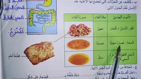 بودرة الزعفران للشعر