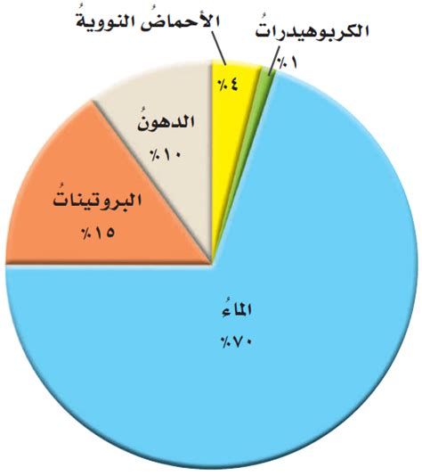 تجربتي مع الاسبيرولينا