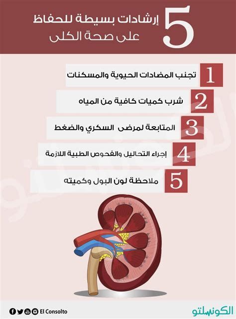 أين يباع اليقطين في مصر