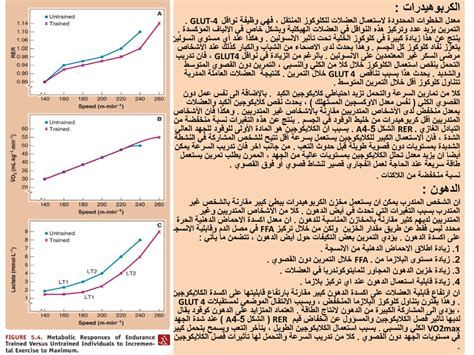 أهمية وجبة الإفطار على الصحة العامة