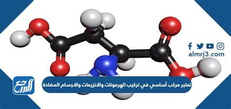 أنواع البروتينات وفوائدها