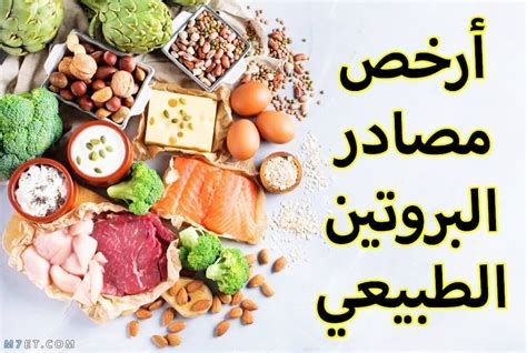 أنواع البروتينات وفوائدها