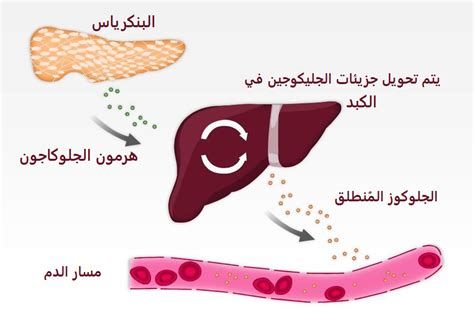 أهمية وجبة الإفطار على الصحة العامة