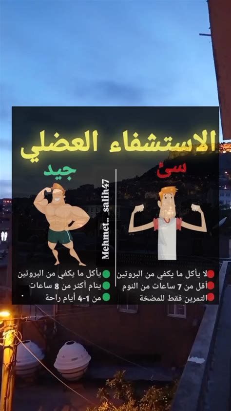 أهم مصادر البروتينات