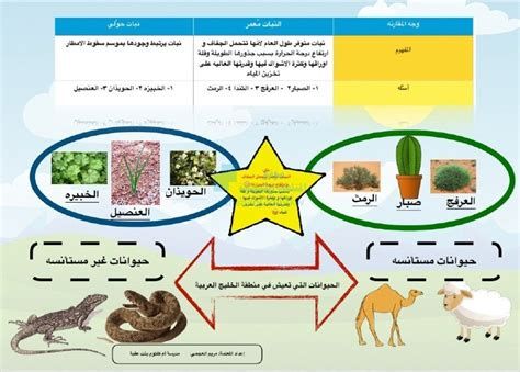 أين تقع شبه جزيرة مسندم