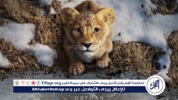 "Mufasa: The Lion King" يواصل زئيره في شباك التذاكر ويقترب من 600 مليون دولار عالميًا