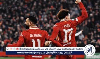 نتيجة وملخص أهداف مباراة ليفربول ضد ليل في دوري أبطال أوروبا