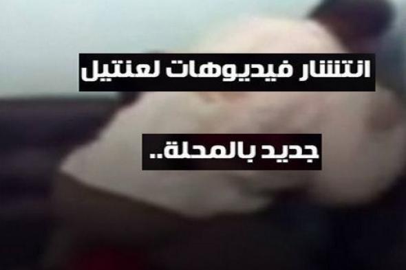 انتشار فيديوهات لـ “عنتيل” جديد بالمحلة وأول تعليق لأمن الغربية