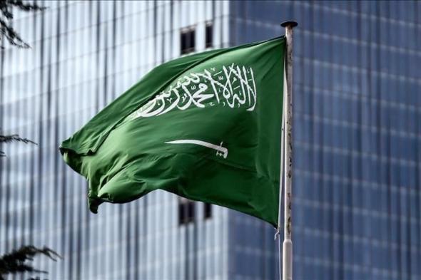 السعودية تفتح باب التجنيس للمتميزين والمبدعين من مواليد السعودية وأبناء السعوديات والقبائل النازحة