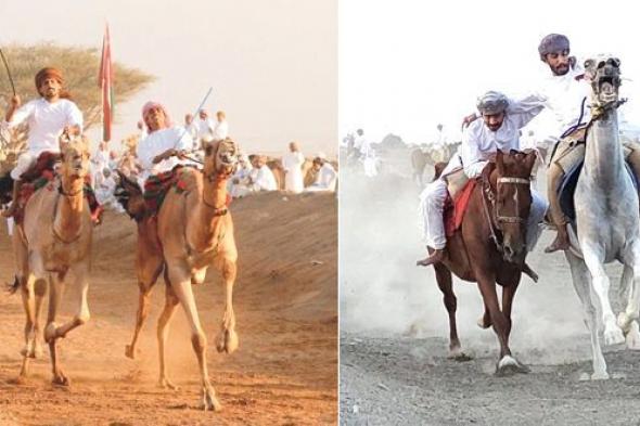 مهرجان لركضة عرضة الخيل التقليدية بسناو وانطلاق مهرجان العرضة والزمط ببدية