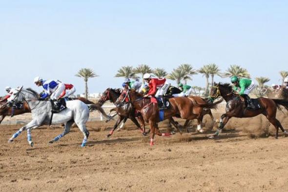 ثمانية أشواط فـي انطلاق سباق الخيل بمضمار الرحبة ببركاء