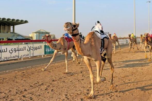 انطلاق المحطة الرابعة من المهرجان السنوي لسباقات الهجن الأهلية بميدان البشائر بأدم