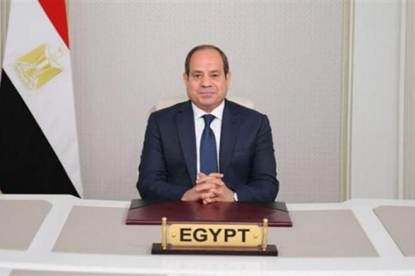 السيسي: 80% من المساعدات الإنسانية التي دخلت غزة مصرية