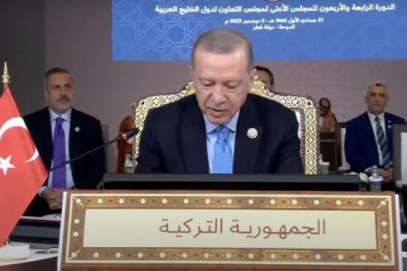 أردوغان: يجب محاسبة تل أبيب على جرائم الحرب بغزة