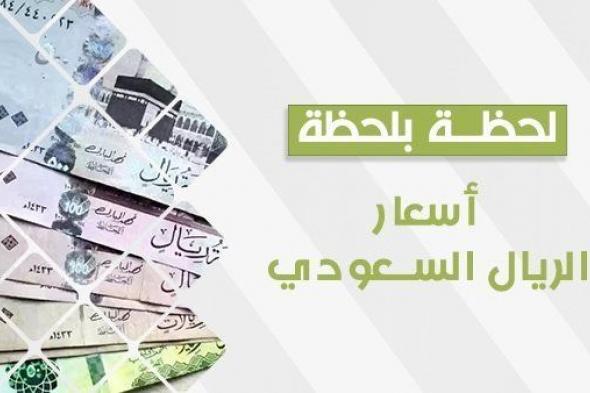 سعر الريال السعودي اليوم.. آخر تطورات العملة السعودية أمام الجنيه