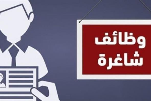 محافظة الجيزة توفر فرص عمل بمرتبات مجزية.. تعرف على الشروط