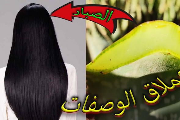 ماسكات جل الصبار لتنعيم شعرك.. تخلصي من قشرة الشعر واقضي على التساقط نهائيًا