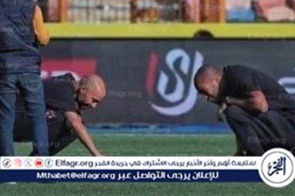 سر سلحفاة ملعب مباراة الأهلي والاتحاد السكندري