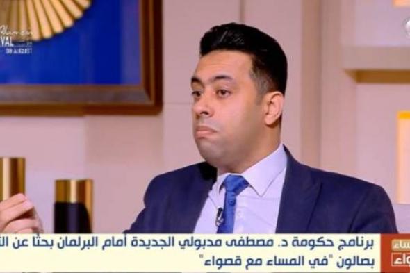 برلماني: على الحكومة الجديدة إيجاد حلول جذرية لملفات شائكة أبرزها الكهرباء 