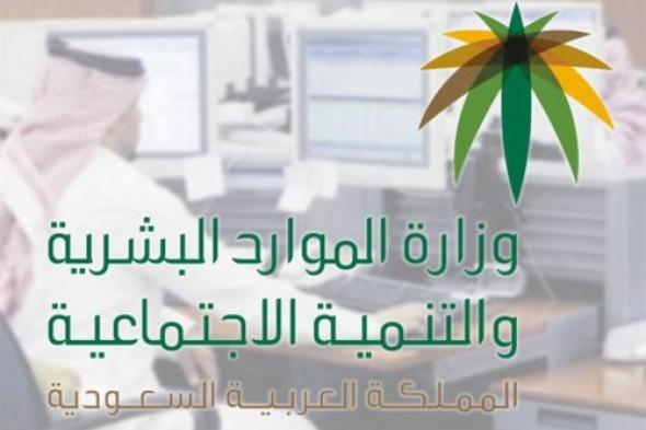 الموارد البشرية ؛؛ تحديثات جديدة في لائحة تأشيرات العمل المؤقت