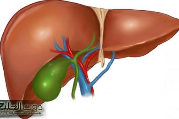 "الأطباء يحذرون" 5 علامات تظهر في جسم الإنسان تدل على تلف الكبد ومخاطر الفشل الكبدي