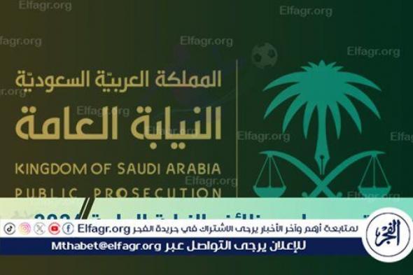 عاجل - "فرصة ذهبية".. رابط التقديم على وظائف النيابة العامة 2024 في السعودية وأهم مميزاتها