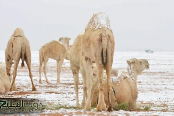 تحذيرات من أول موجة برد قارسة بالسعودية تضرب 7 مناطق غدًا فجرًا مع تسجيل درجات حرارة صفرية في ذروتها